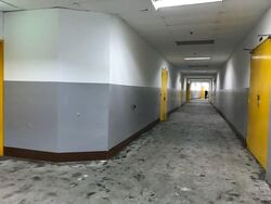 Lam Soon Industrial Building (D23), Factory #543692961